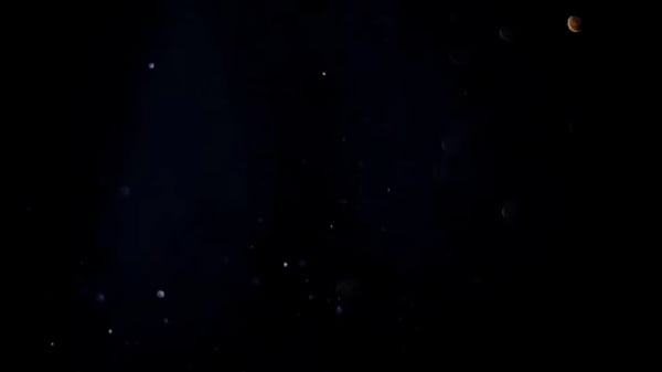 MILF brasileira maravilhosa levando vara grossa na buceta